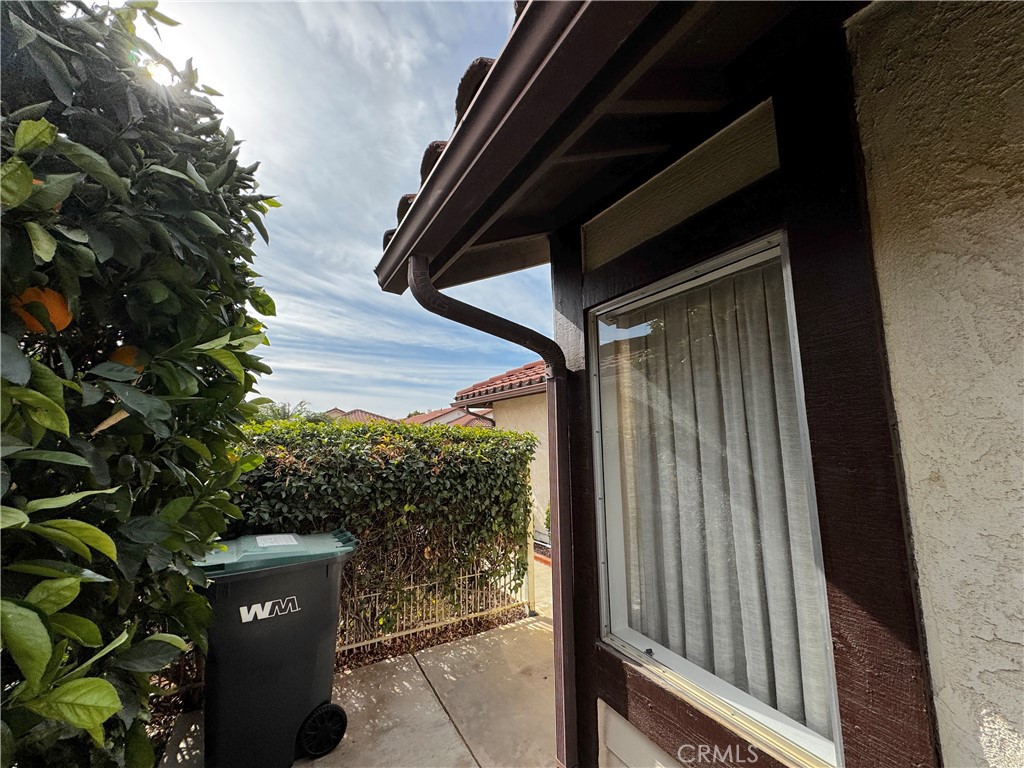 26218 Shadywood Street