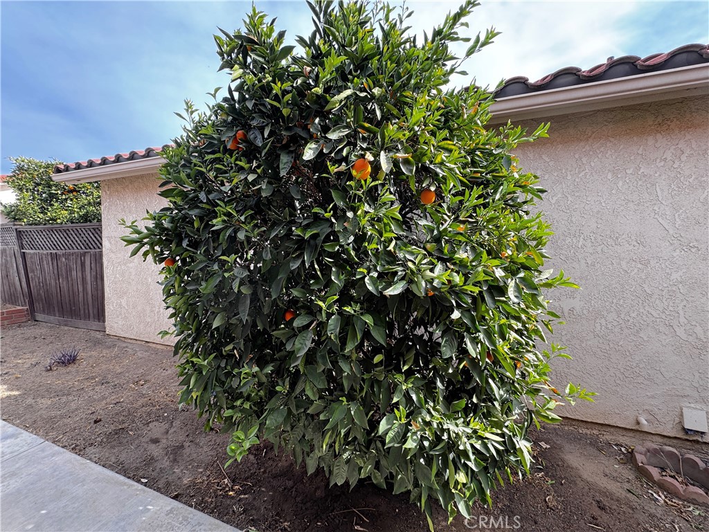 26218 Shadywood Street