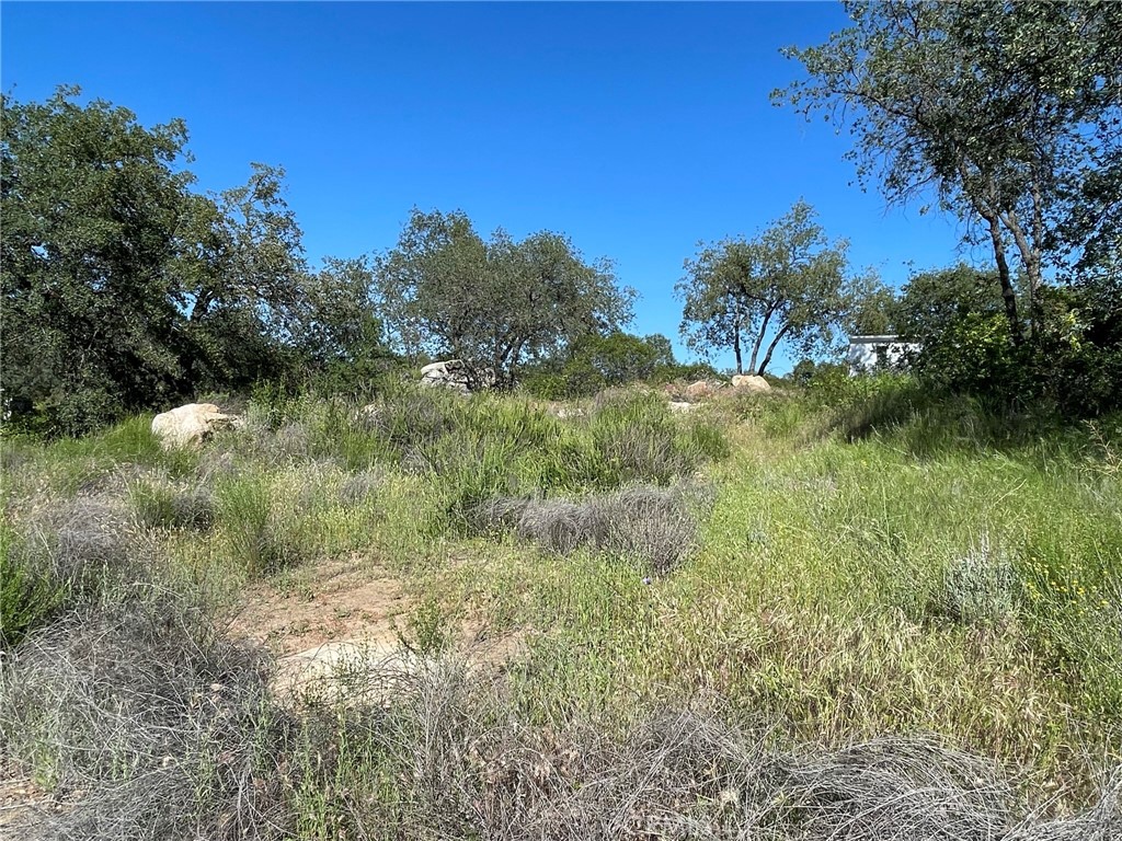 44555 Tortuga Road
