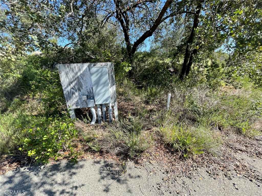 44555 Tortuga Road