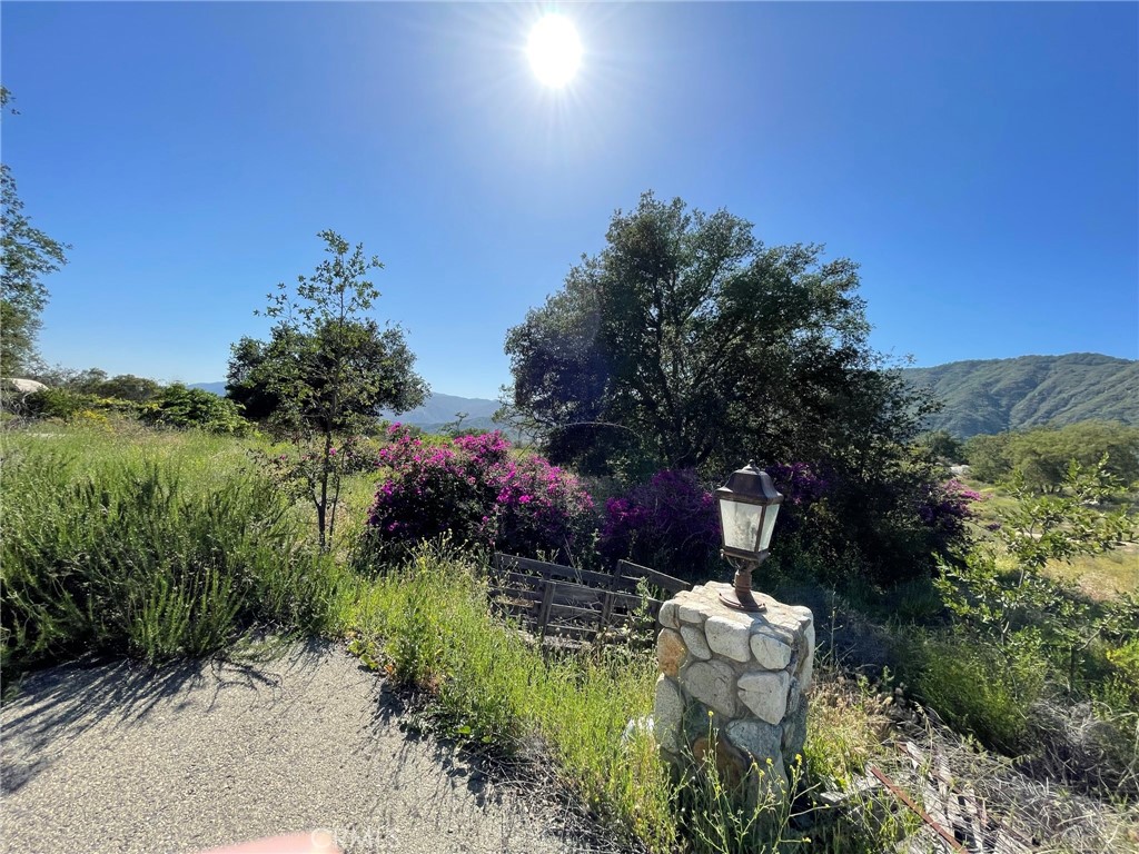 44555 Tortuga Road