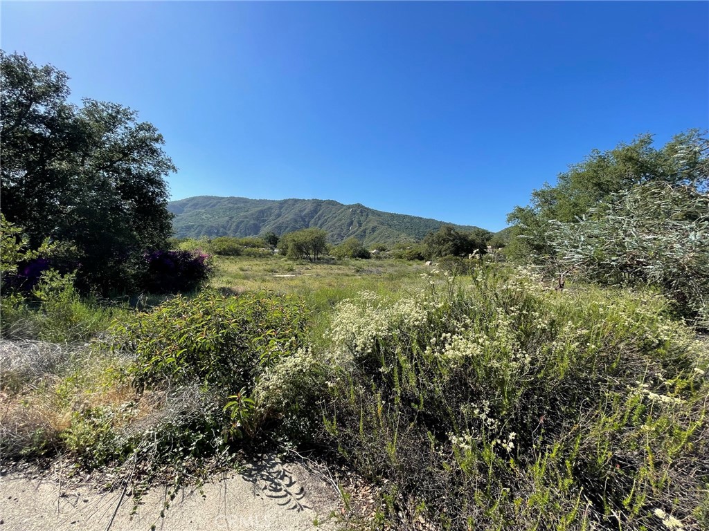 44555 Tortuga Road