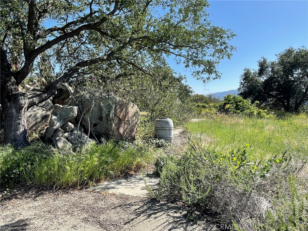 44555 Tortuga Road