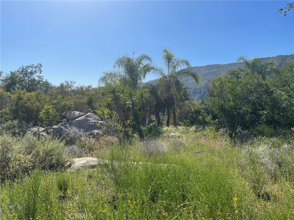 44555 Tortuga Road