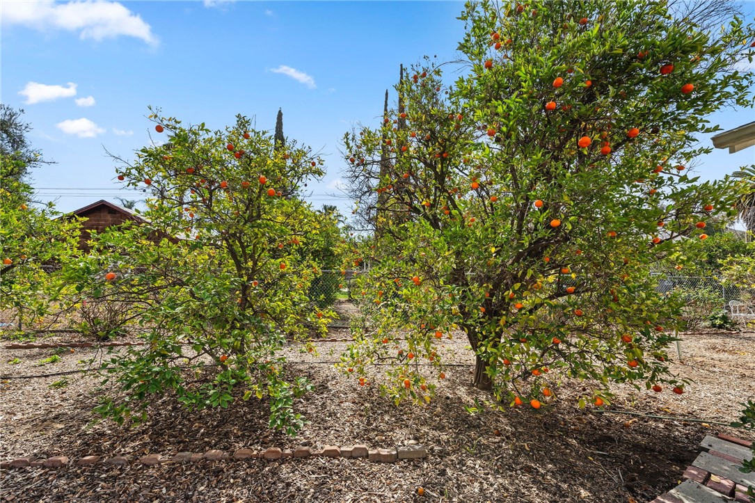 27400 Dartmouth Street