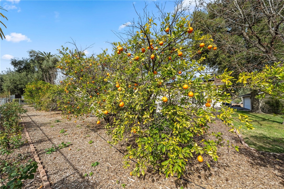 27400 Dartmouth Street