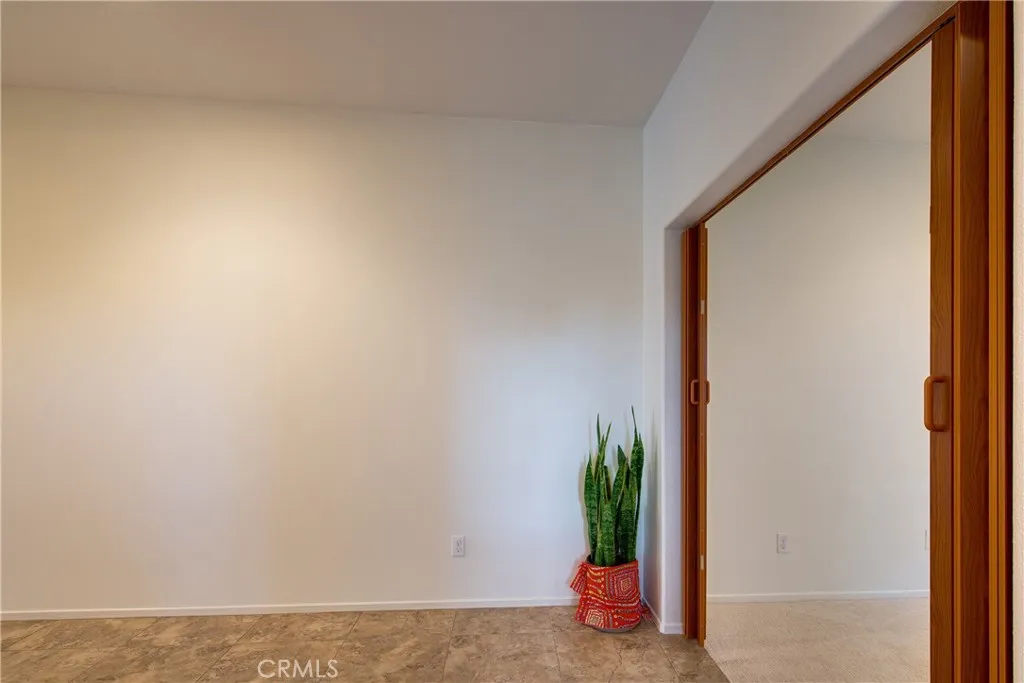 26269 Leos Trail