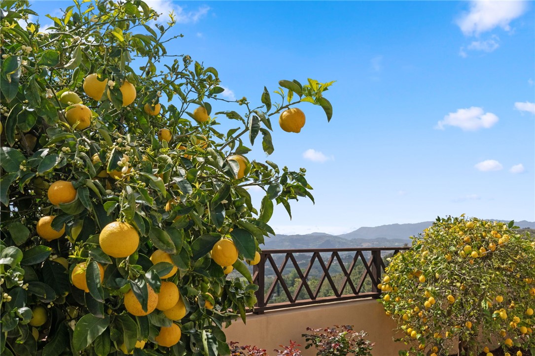 45250 Tomasito Circle