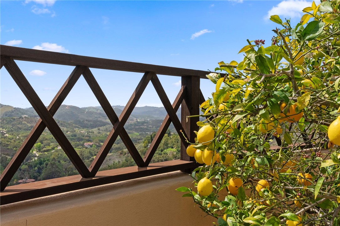 45250 Tomasito Circle