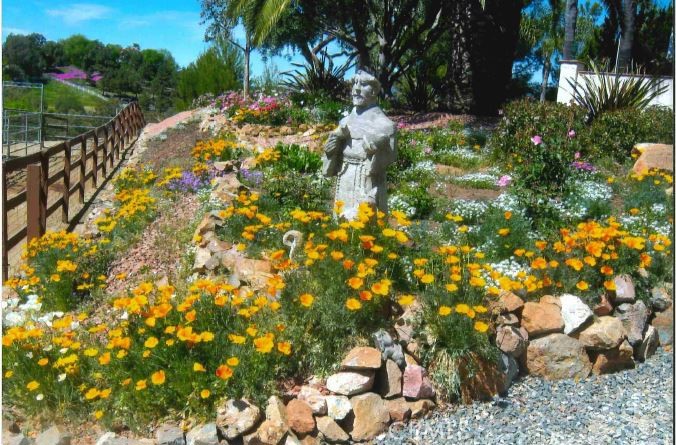 20900 Avenida Castilla