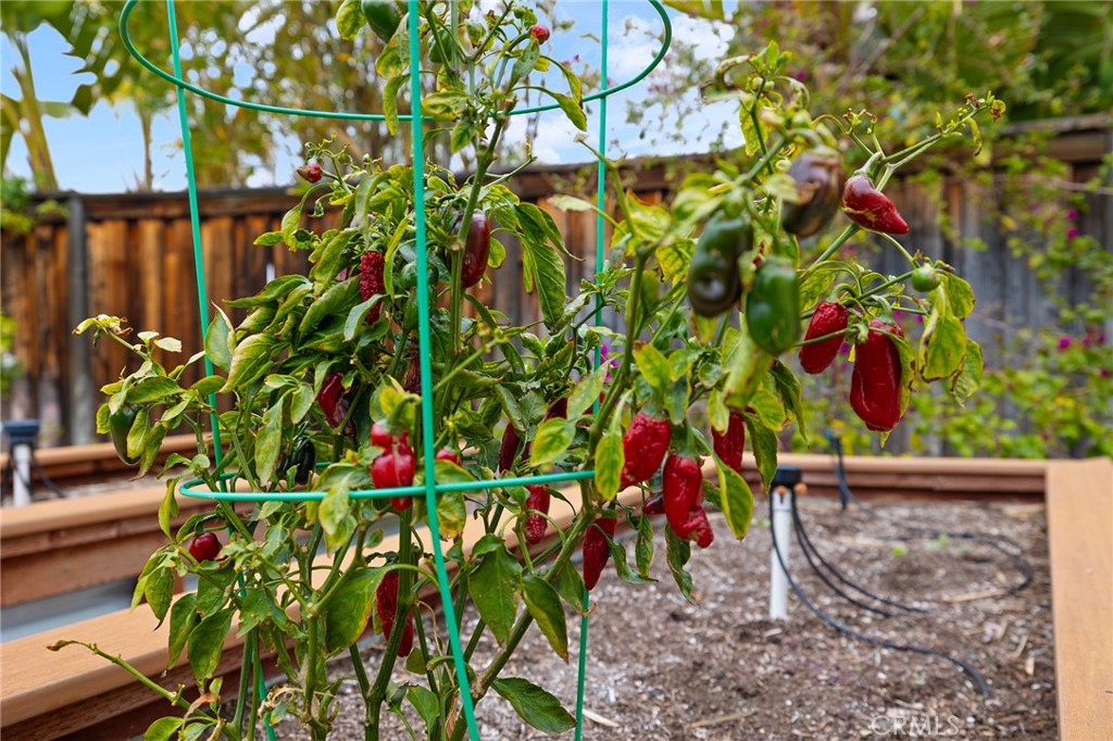 28832 Sunny View Drive