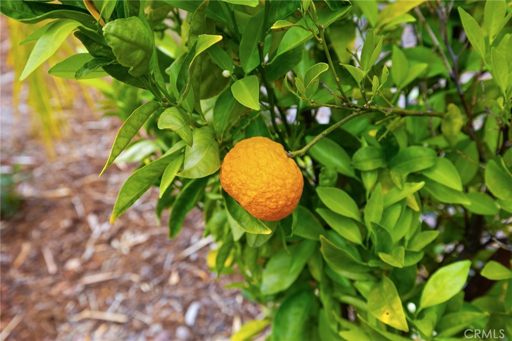 28832 Sunny View Drive