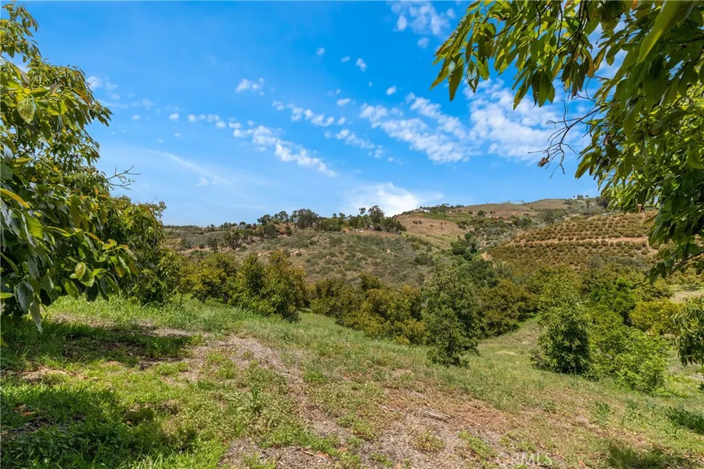 2918 Los Campos Drive