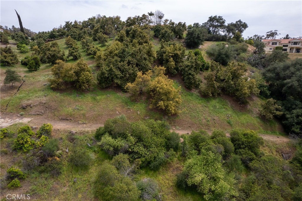 2918 Los Campos Drive