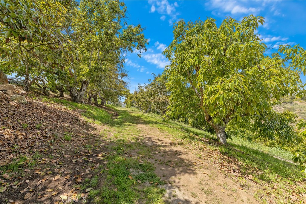 2918 Los Campos Drive