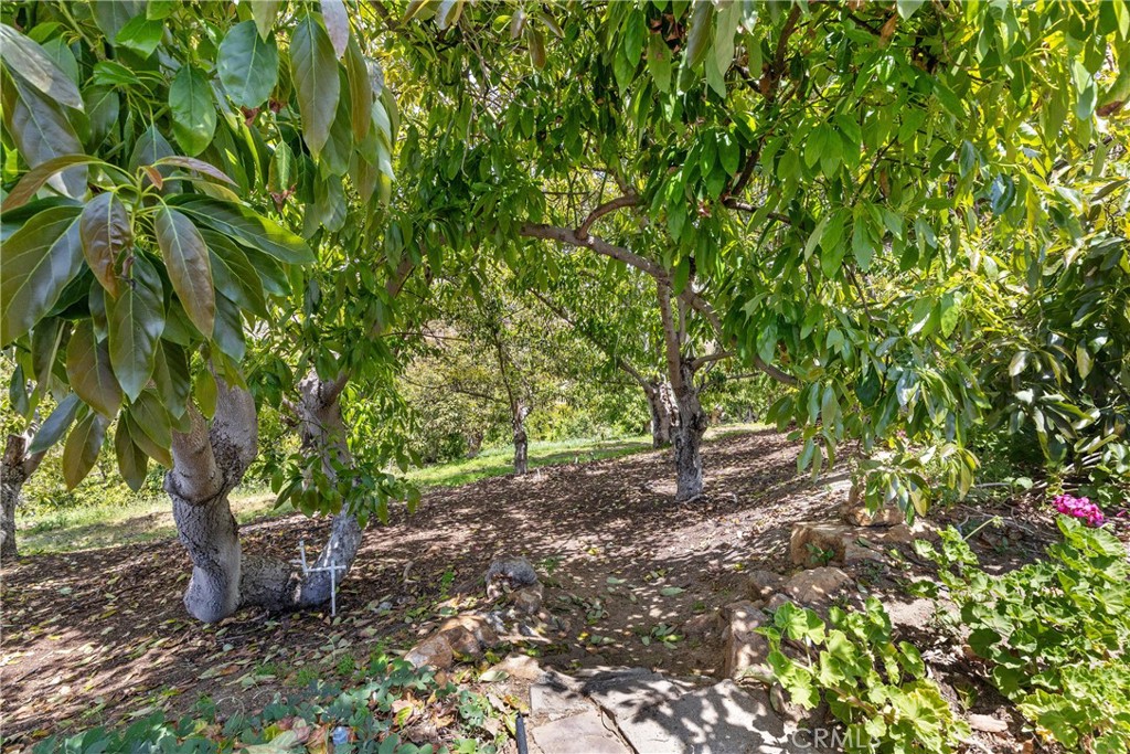 2918 Los Campos Drive