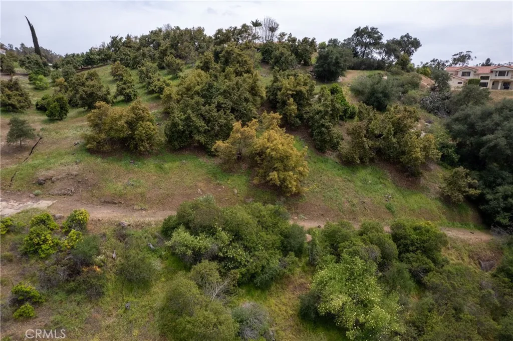 2918 Los Campos Drive