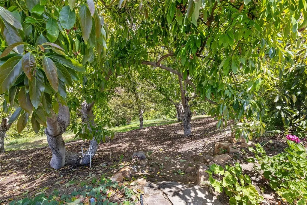 2918 Los Campos Drive