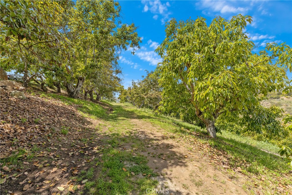 2918 Los Campos Drive