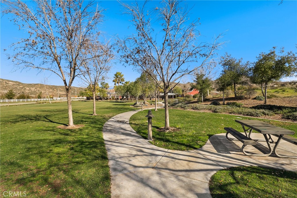 489 Berrybush Street