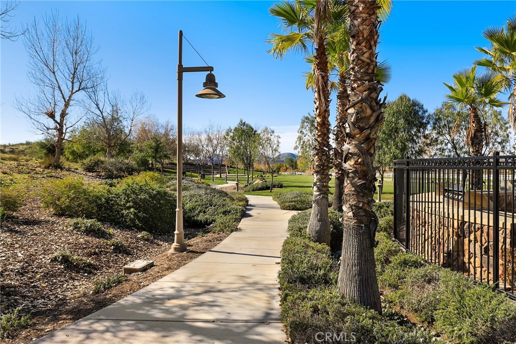 489 Berrybush Street