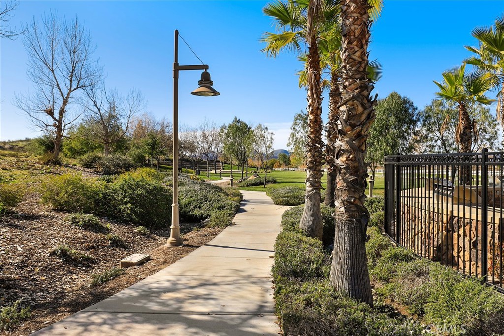 489 Berrybush Street