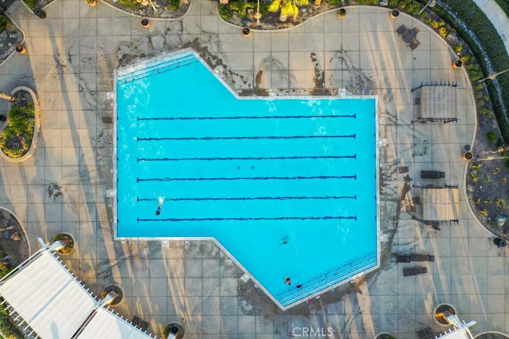 489 Berrybush Street