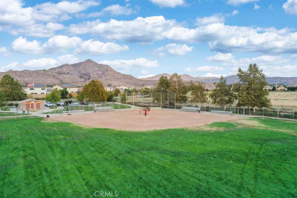 489 Berrybush Street