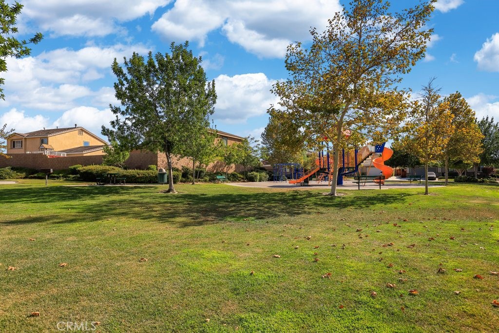 489 Berrybush Street