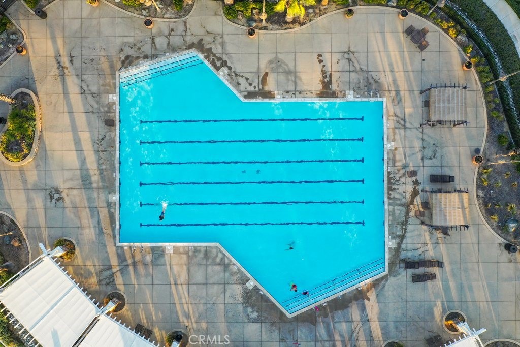 489 Berrybush Street