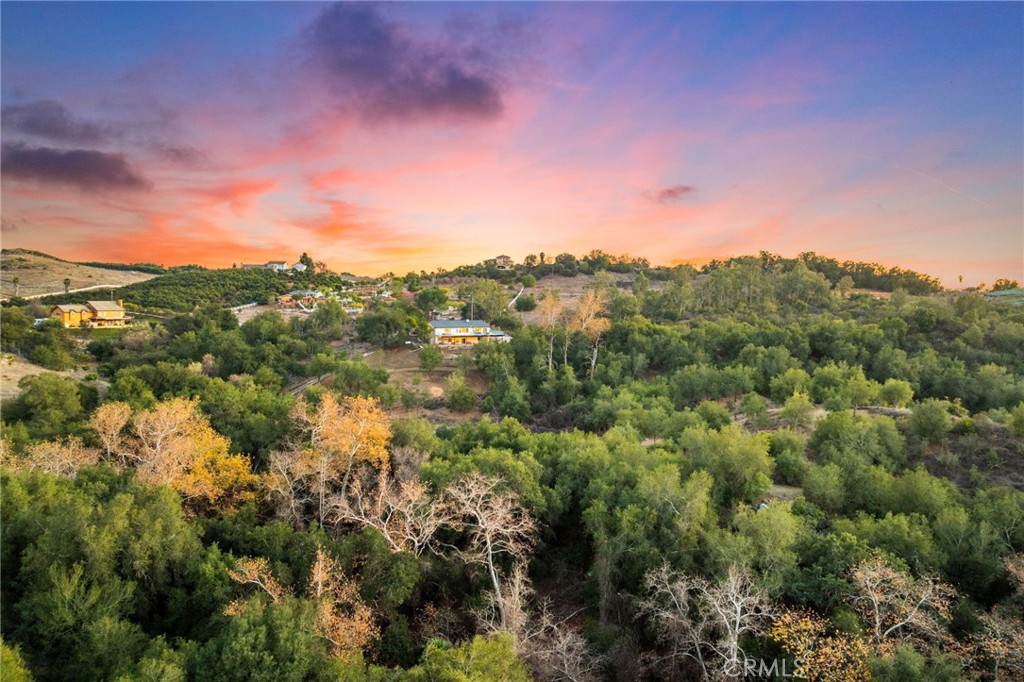 44310 Calle Bernardo