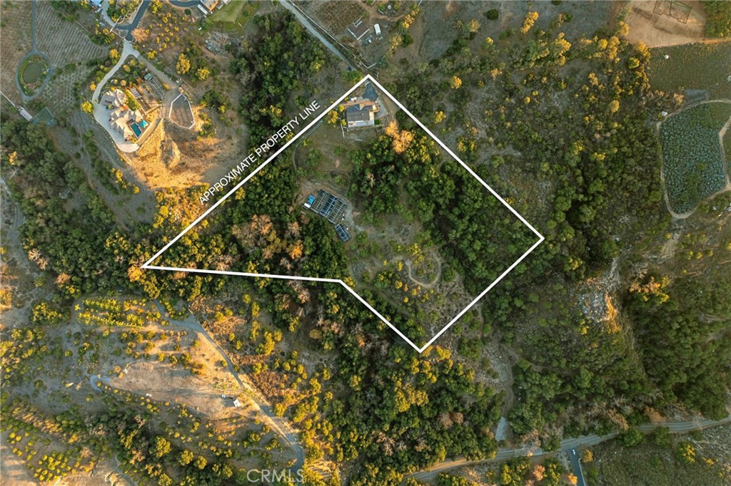 44310 Calle Bernardo