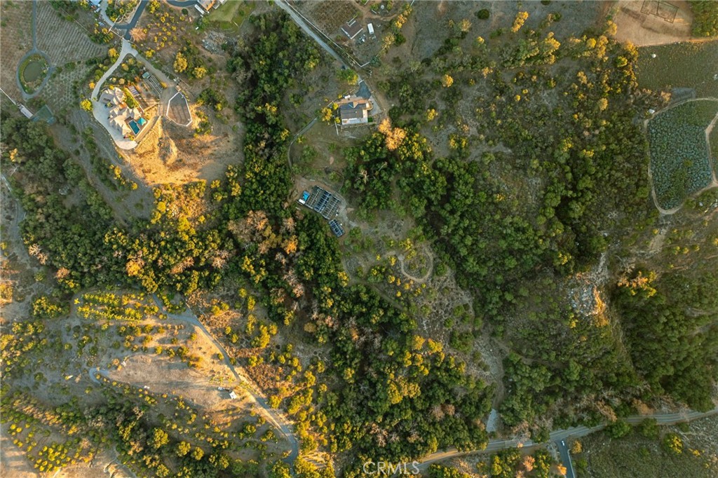 44310 Calle Bernardo