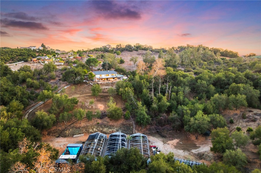 44310 Calle Bernardo