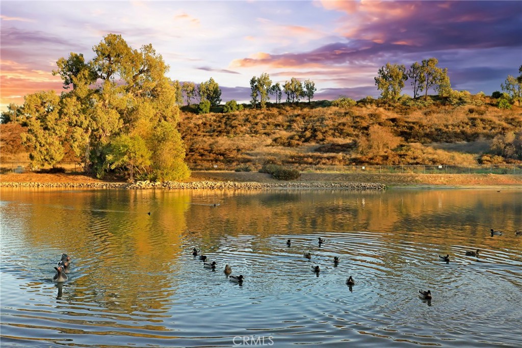 30085 La Primavera Street