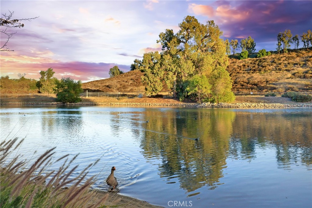 30085 La Primavera Street