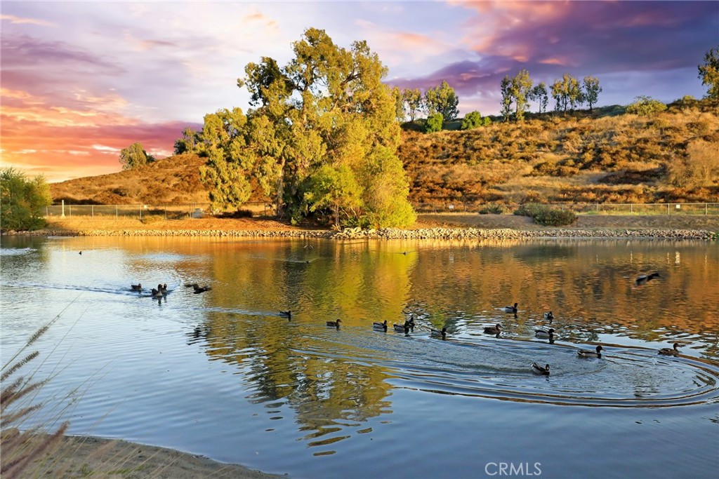 30085 La Primavera Street