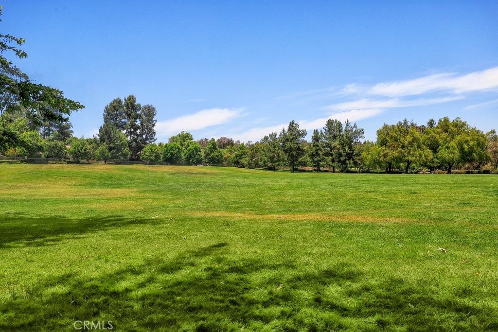 43500 Corte Barbaste