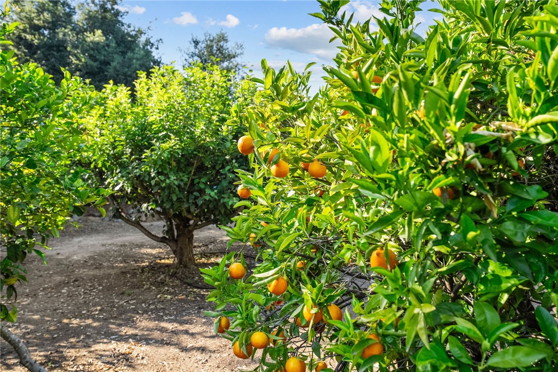 45195 Oak Manor Court