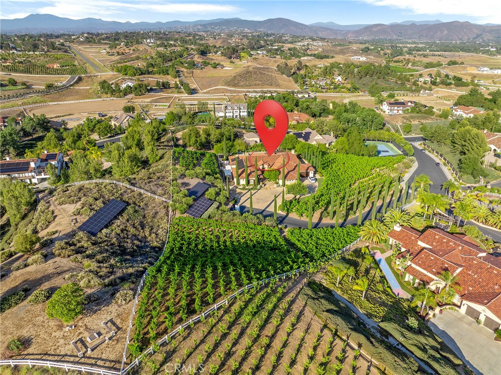 33260 Susan Grace Court