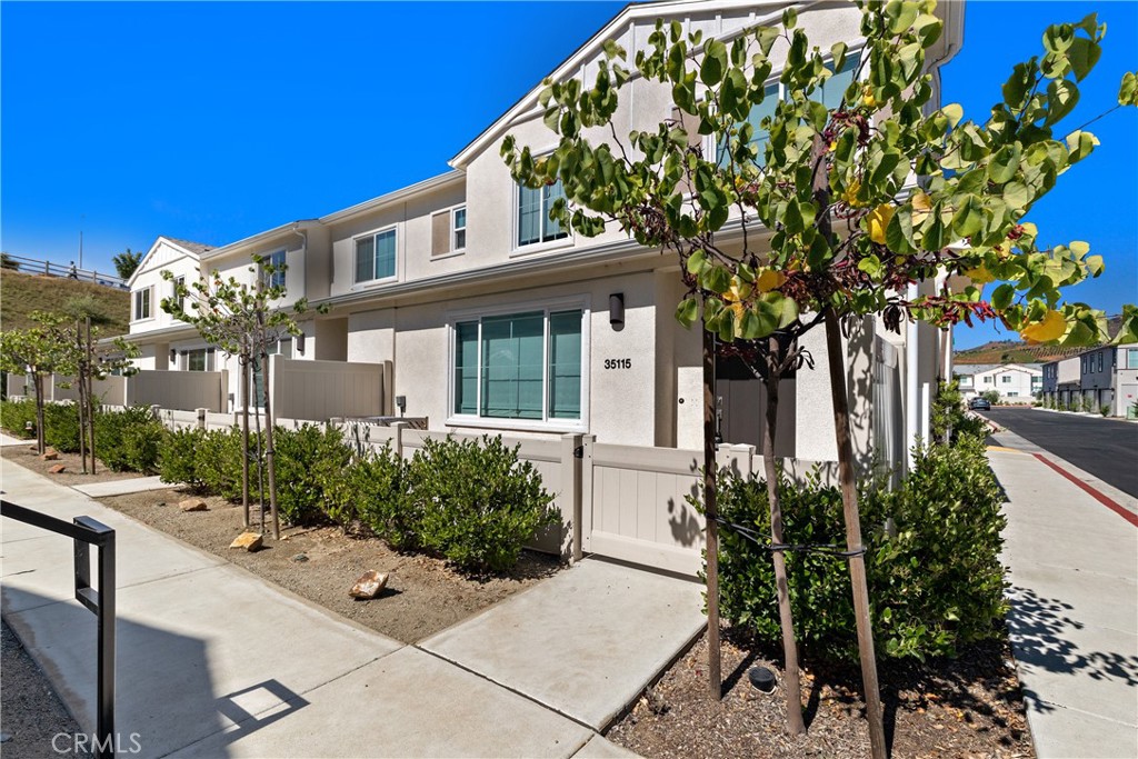 35115 Vine Place