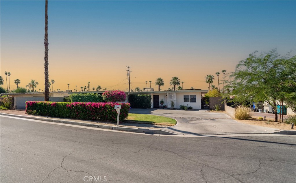 74450 Peppergrass Street