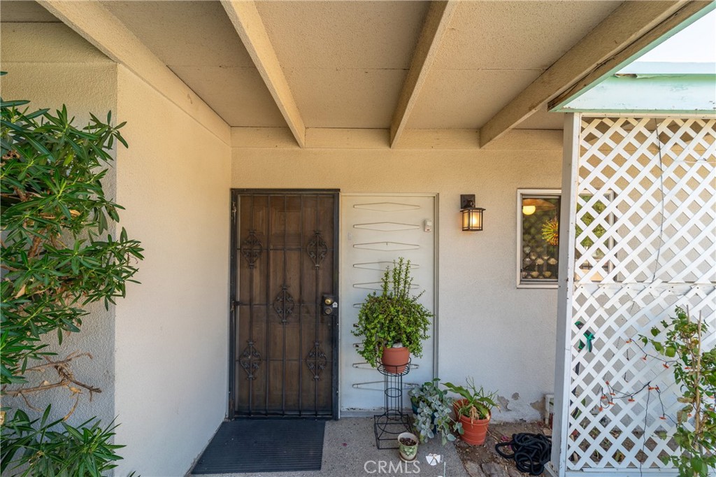 74450 Peppergrass Street