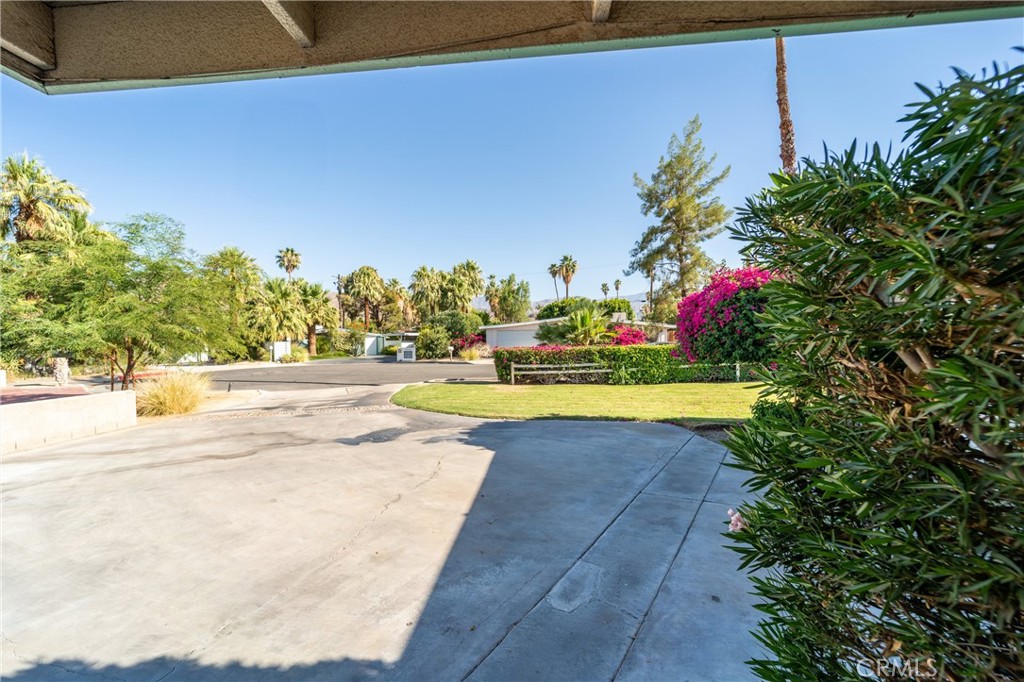 74450 Peppergrass Street