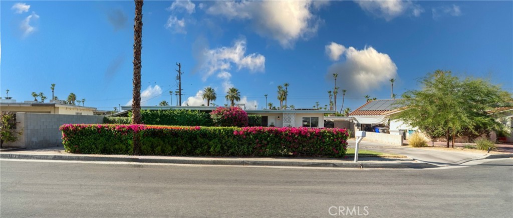 74450 Peppergrass Street