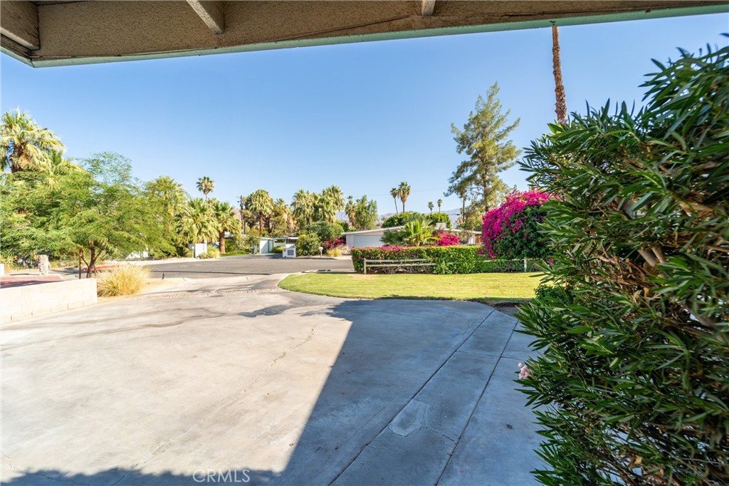 74450 Peppergrass Street