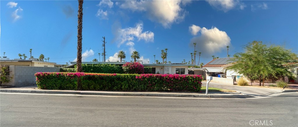 74450 Peppergrass Street