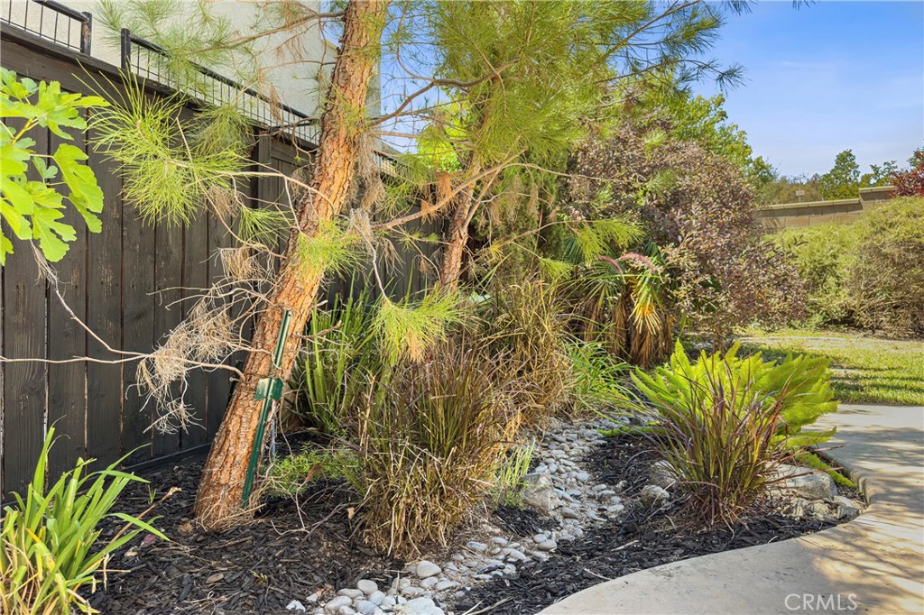 27123 Coral Bells Way