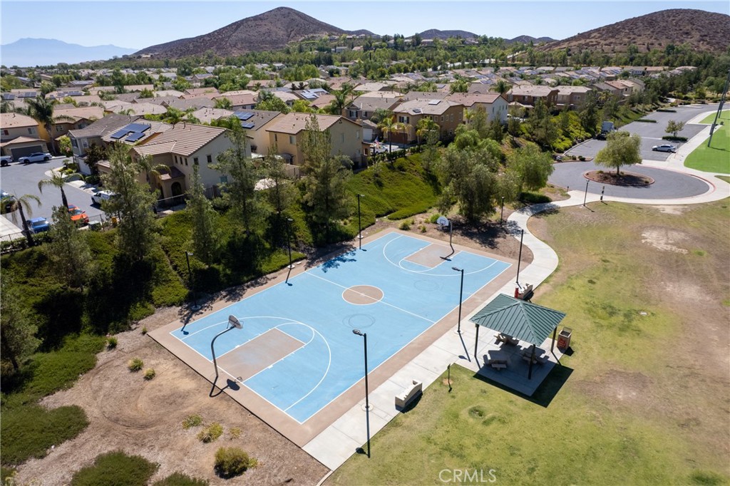 31934 Hollyhock Street