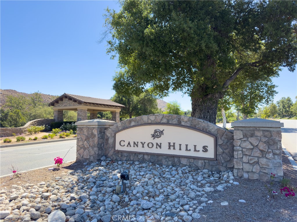 31934 Hollyhock Street